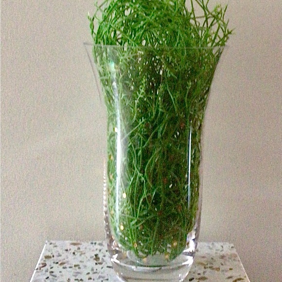 New! Decorative Artificial Vine Greenery Strands - Picture 2 of 2